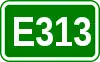 Route européenne 313