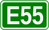Route européenne 55