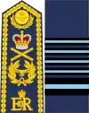 Image illustrative de l’article Marshal of the Royal Air Force
