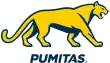Description de l'image Logo Pumitas 2023.svg.