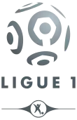 Logo du championnat de France de football