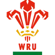 Description de l'image Welsh Rugby Union (logo).svg.