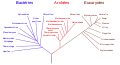 Arbre phylogénétique simplifié selon la classification phylogénétique, d’après Carl Woese.