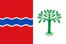 Drapeau de Fuentelencina