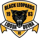 Logo du Black Leopards