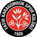 Logo du Fatih Karagümrük