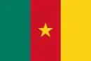 Image illustrative de l’article Cameroun aux Jeux paralympiques d'été de 2016