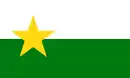 Drapeau de Comté de ForsythForsyth County