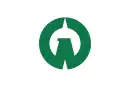 Drapeau de Iruma-shi