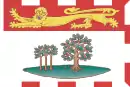 Drapeau de Comté de Queens