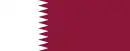 Image illustrative de l’article Qatar aux Jeux paralympiques d'été de 2016