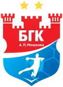 Logo du HC Meshkov Brest