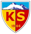 Logo du Kayserispor