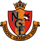 Logo du Nagoya Grampus