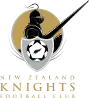 Logo du New Zealand Knights