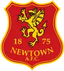 Logo du Newtown AFC