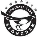 Logo du Seongnam FC