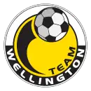 Logo du Team Wellington