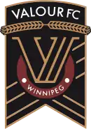 Logo du Valour FC