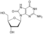 Image illustrative de l’article 8-Oxo-2'-désoxyguanosine