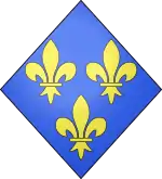 Description de l'image Blason fr France moderne (losange).svg.