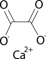 Image illustrative de l’article Oxalate de calcium