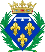 Description de l'image CoA of unmarried Princess of Orléans.svg.