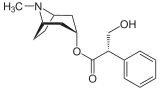 Image illustrative de l’article Hyoscyamine