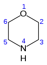 Image illustrative de l’article Morpholine