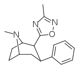 Image illustrative de l’article (-)-2β-(1,2,4-Oxadiazol-5-méthyl)-3β-phényltropane