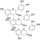 Image illustrative de l’article Procyanidine C2