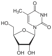 Image illustrative de l’article Ribothymidine