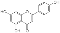 Image illustrative de l’article Apigénine