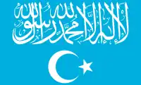 Image illustrative de l’article Parti islamique du Turkestan