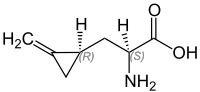 Image illustrative de l’article Hypoglycine A