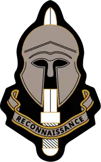 Image illustrative de l’article Special Reconnaissance Regiment