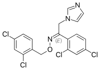 Image illustrative de l’article Oxiconazole