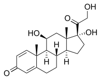 Image illustrative de l’article Prednisolone