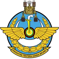 Image illustrative de l’article Force aérienne royale de Brunei
