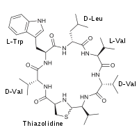 Image illustrative de l’article Lugdunine