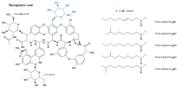 Image illustrative de l’article Teicoplanine