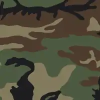 Camouflage M81 Woodland