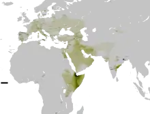 Description de l'image Distribution Haplogroup T Y-DNA II.svg.