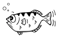 Description de l'image GDB Archer Fish by Andreas Arnez.svg.