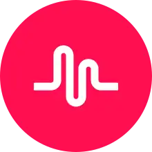 Description de l'image Musical.ly vector logo.svg.