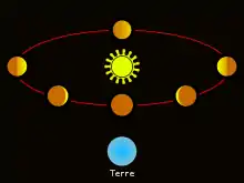 Vénus est montrée à différentes positions de son orbite autour du Soleil, chaque position montrant une proportion différente de sa surface comme éclairée.