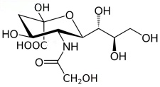 Image illustrative de l’article Acide N-glycolylneuraminique