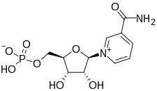 Image illustrative de l’article Nicotinamide mononucléotide