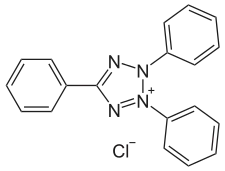 Image illustrative de l’article Chlorure de triphényltétrazolium