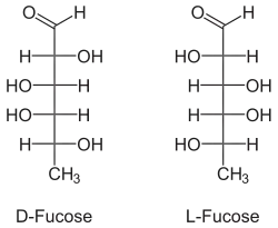 Image illustrative de l’article Fucose